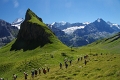 24h Hike Mammut_Ochsner 'Grosse Scheidegg _ Schwarzhorn 2927m' 18_08_2012 (118)